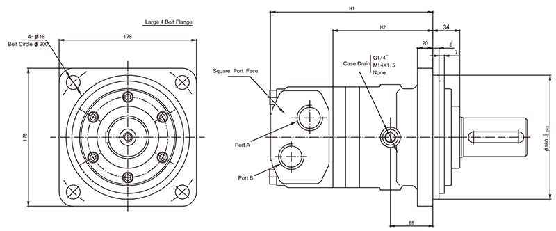 Standard cycloidal hydraulic motor