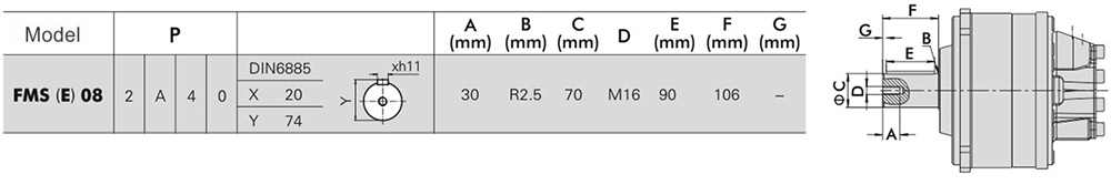 FMS08-0-12A-R08-1110