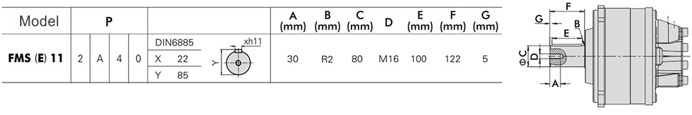 FMSE11-0-214-R11-3AQ3-0000GF